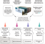 Granhair Antihair loss Vial 10 x 8 ml